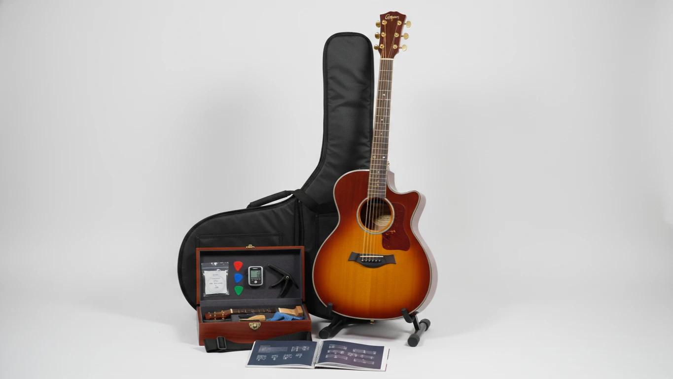 Acoustic Guitar Beginner to Pro Starter Kit