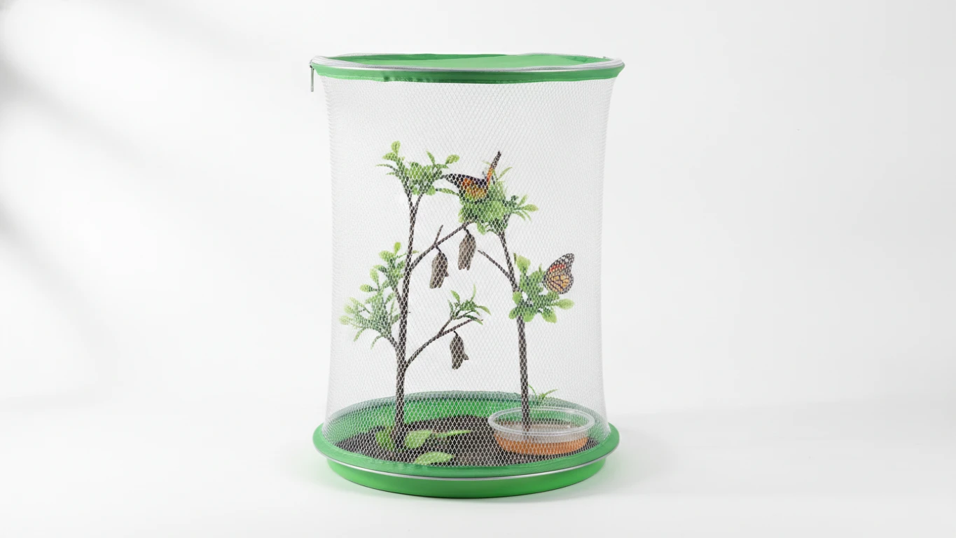 Butterfly Growing Habitat Set