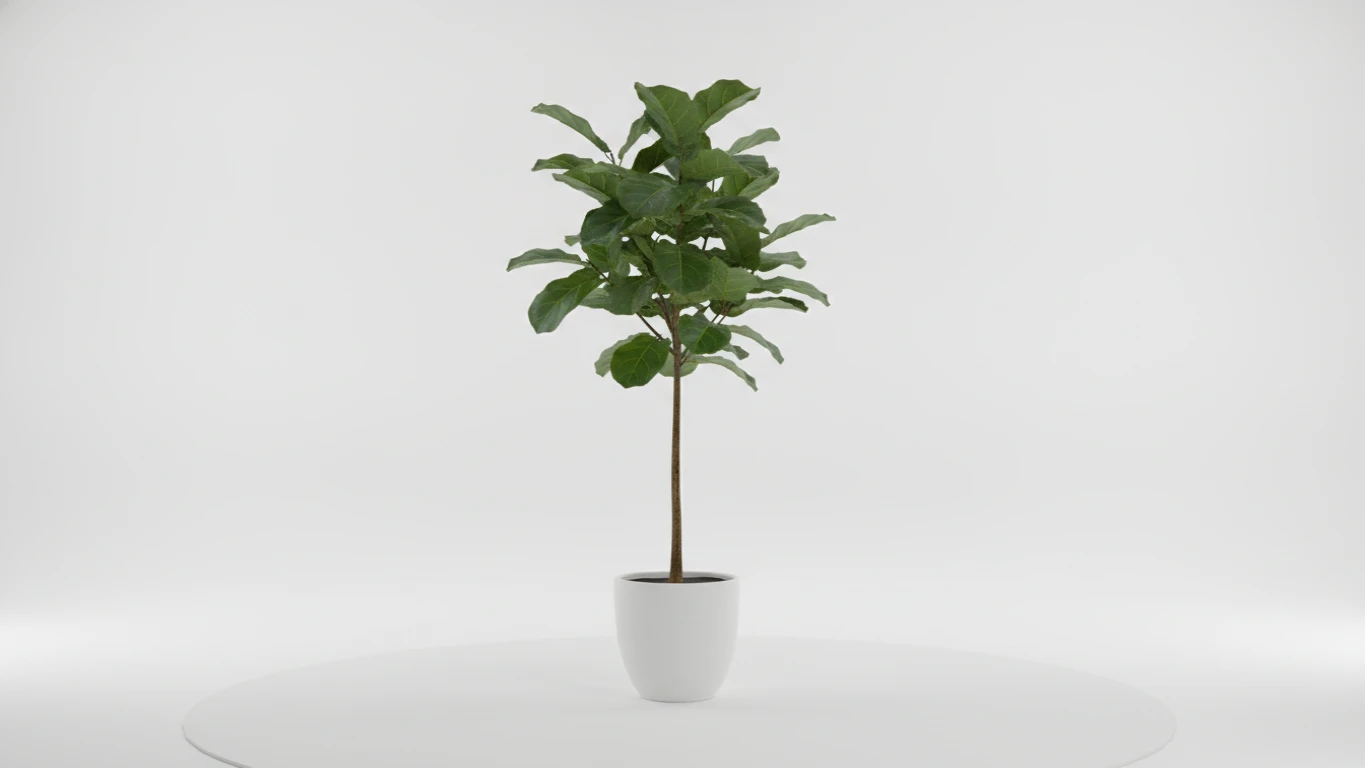Large Air-Purifying Indoor Plant