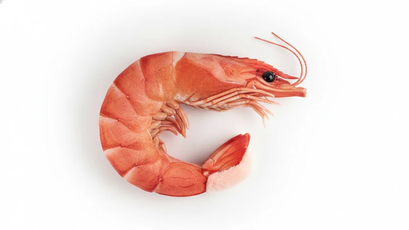 Realistic Shrimp Neck Travel Pillow